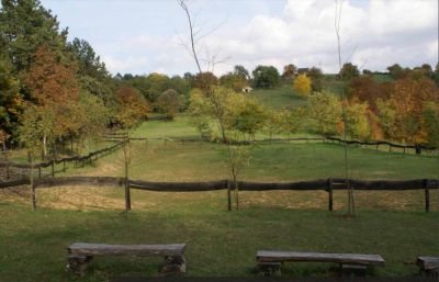 02_Ranch