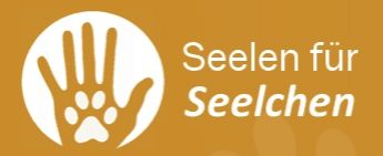 Logo_SfS